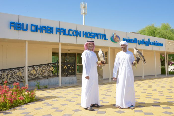 Falcon-Hospital-6