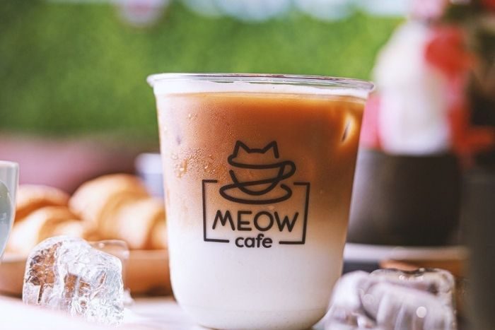 Cat café abu dhabi meow