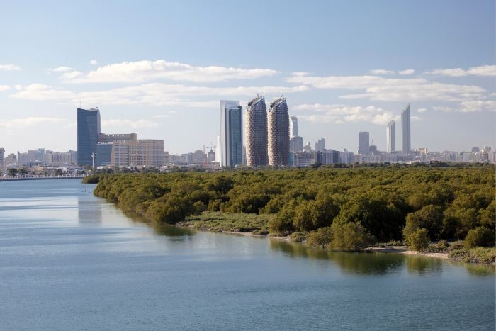 The Environment Agency Abu Dhabi mangrove restoration