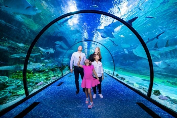 the National Aquarium Abu Dhabi