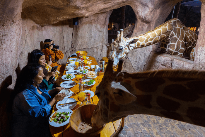 Iftar with Giraffes ramadan 2022