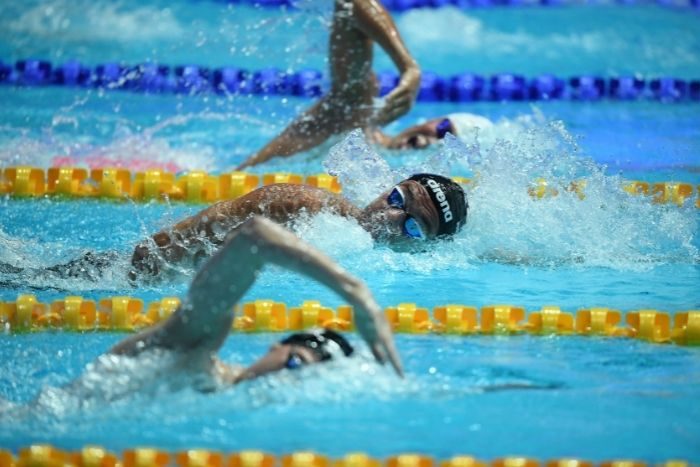 Making waves FINA Swimming Championships