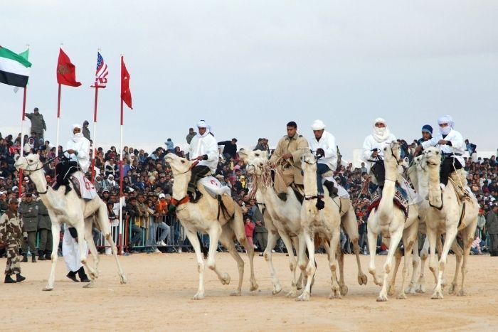 Abu Dhabi Camel racecource