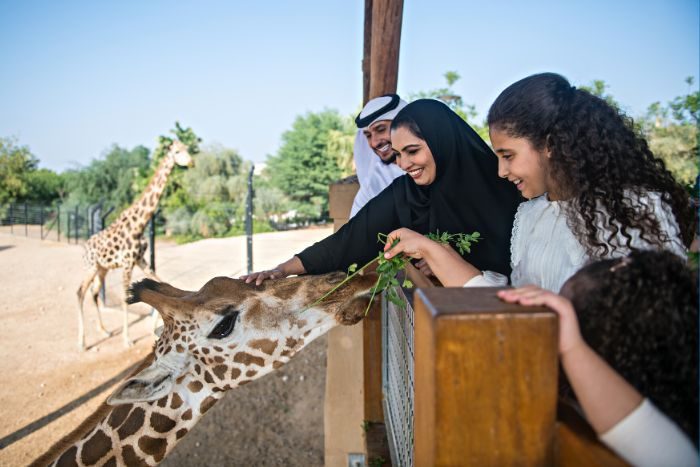 Iftar with the Giraffes at Al Ain Zoo