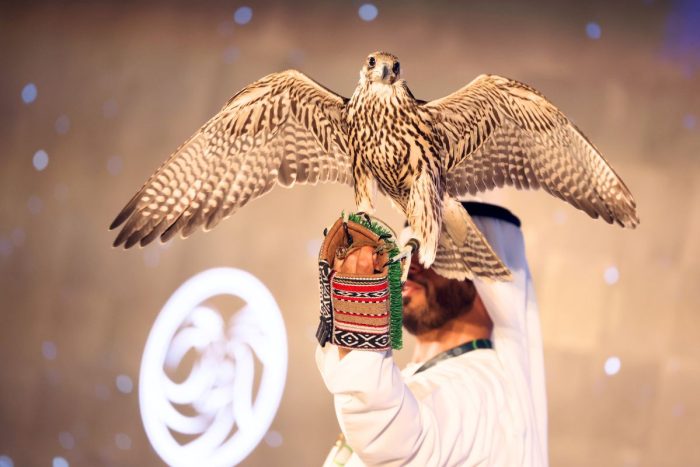 Man holding Falcon for ADIHEX