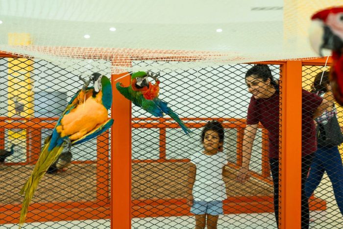 Petting Zoo at Reem Mall Abu Dhabi