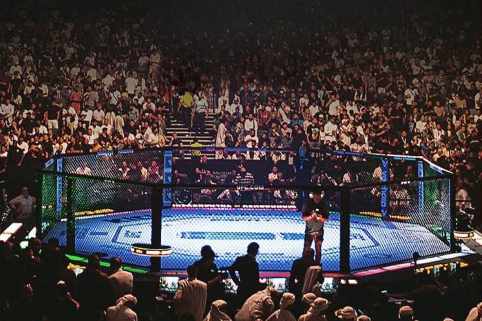 UFC Abu Dhabi Showdown Week 2024