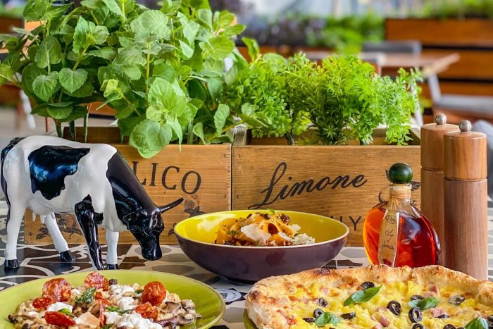 Pizza and pasta dishes from Verso Grand Hyatt Abu Dhabi Hotel and Residences Emirates Pearl and on the background shows a cow toy, chili olive oil, basil leaves and lemon plant with salt and pepper shakers