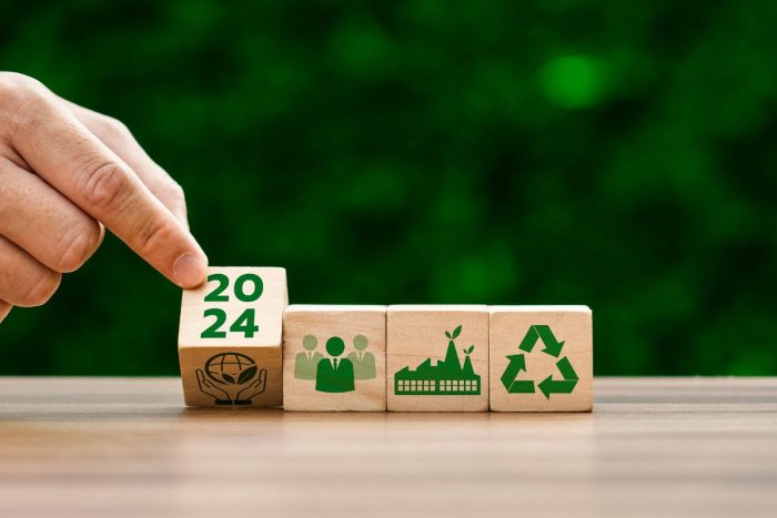 Year of Sustainability 2024