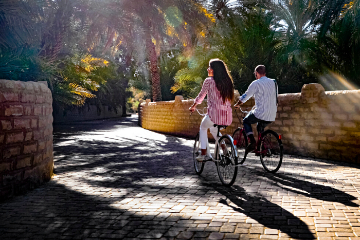 Saturday Market at Al Ain Oasis